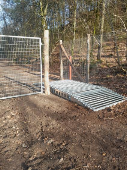 2a22cb19-efb1-467b-ba2b-7bb3e7806ce0