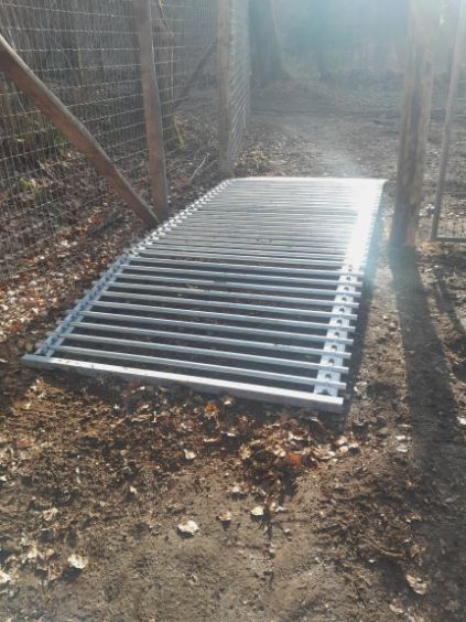 e6ac1cce-abfa-4c7e-be42-0332853d0704